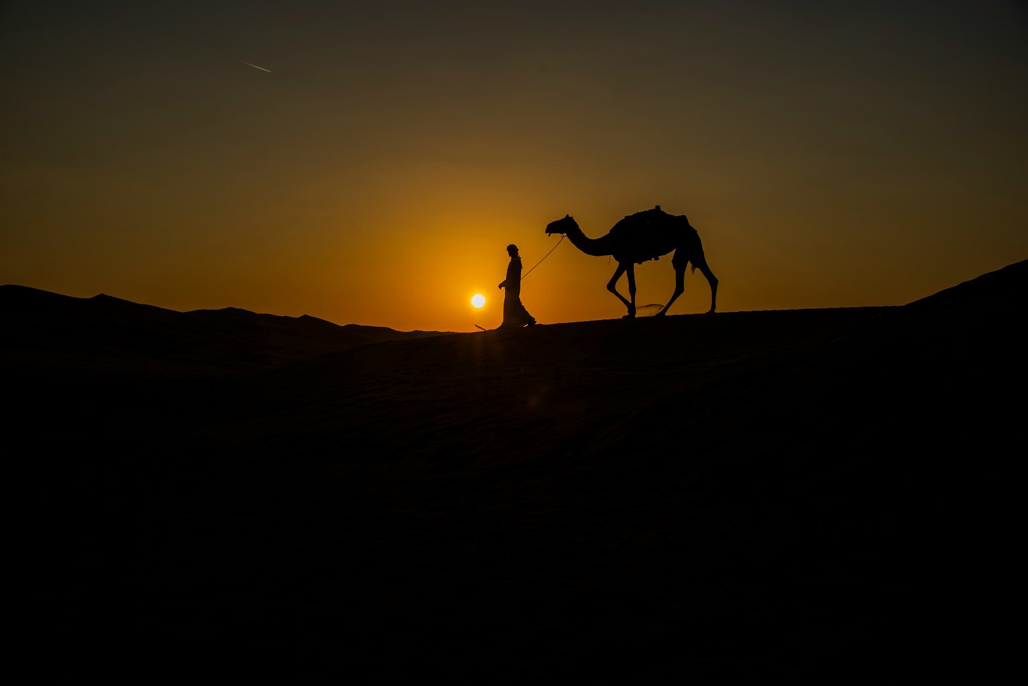 Desert Safari