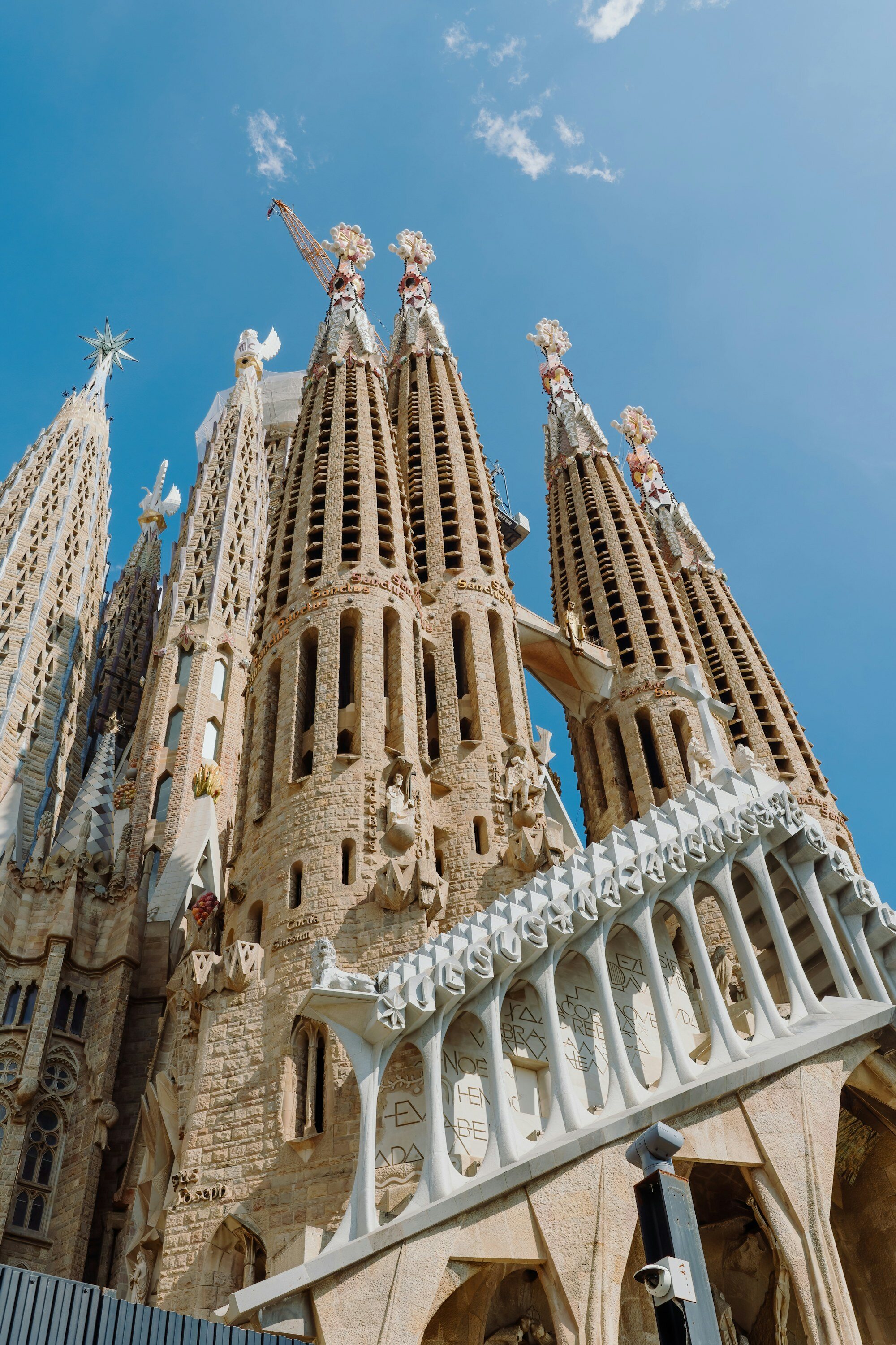 巴塞隆納主教座堂(La Seu)