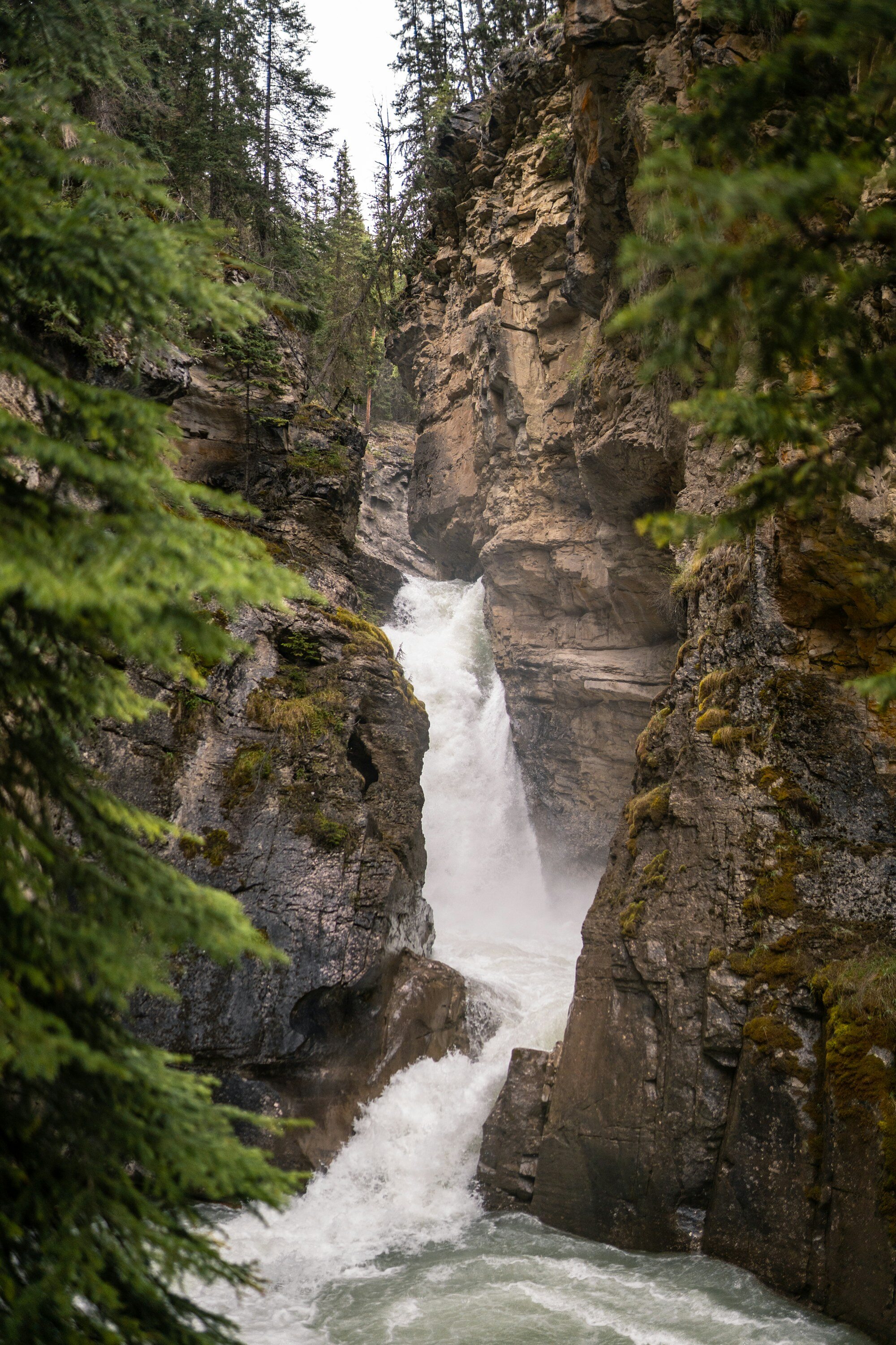 Johnston Canyon