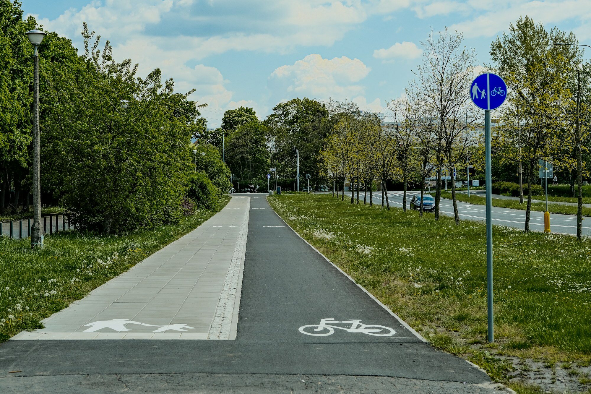 Cyclepaths_CC