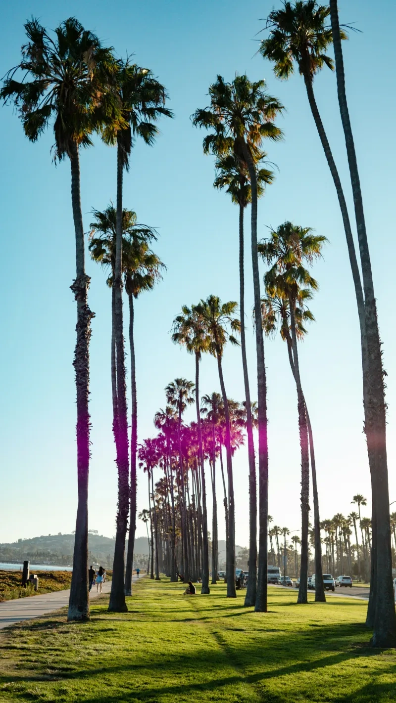 Santa Barbara